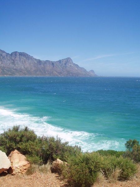 KeHa_in_South_Africa - 162